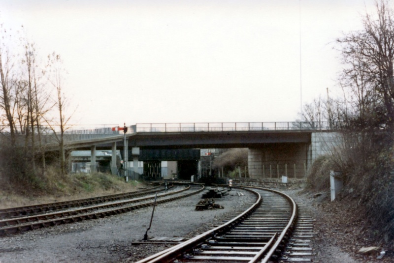 File:Ashton Meadows Sidings19.jpg