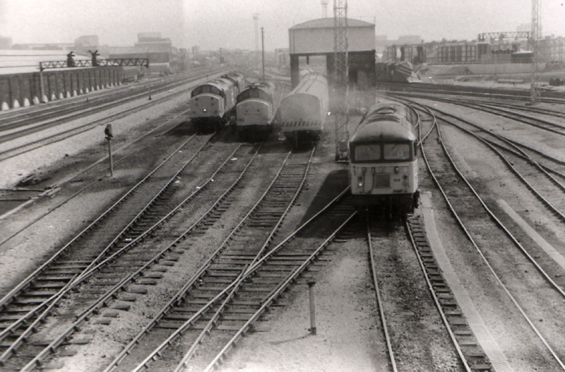 File:Cardiff Canton6.jpg