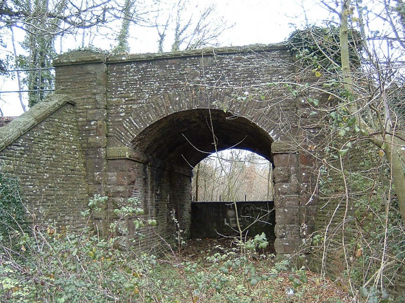 File:Robins Wood5.jpg