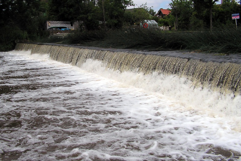 File:Polish Day9.jpg