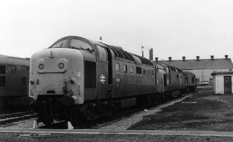 File:55001-2.jpg