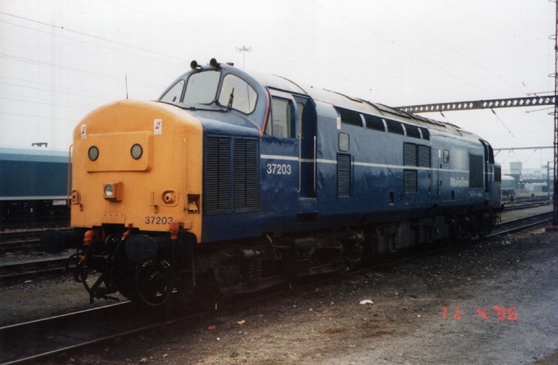 File:37203-1.jpg
