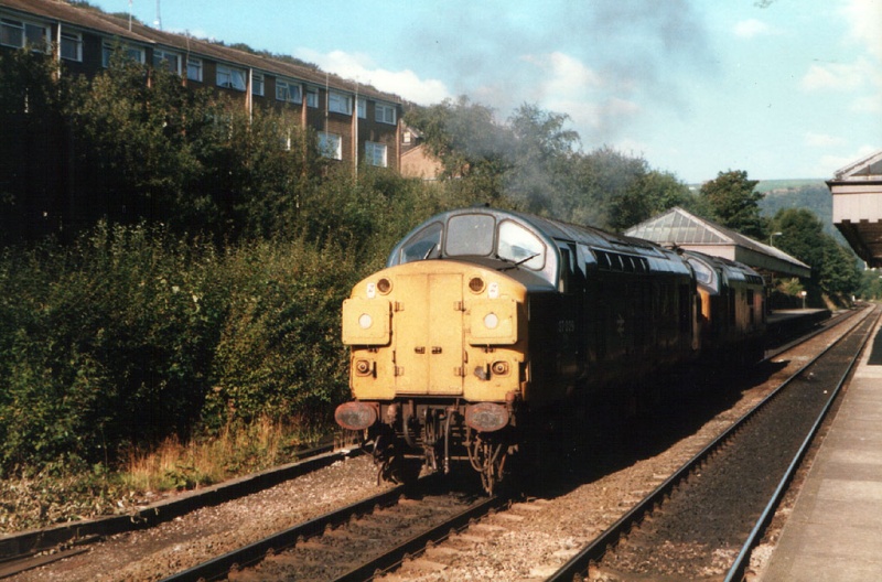 File:37029-1.jpg