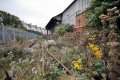 A similar view to Andrew's above but taken on 5.10.09. Everything is overgrown and rusted.