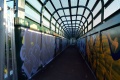 Although new, it's already covered in graffiti.