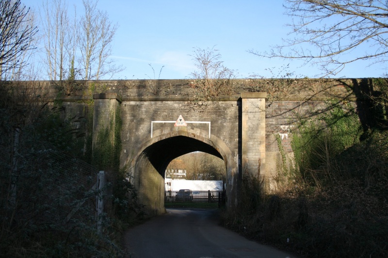 File:The Shallows2.jpg