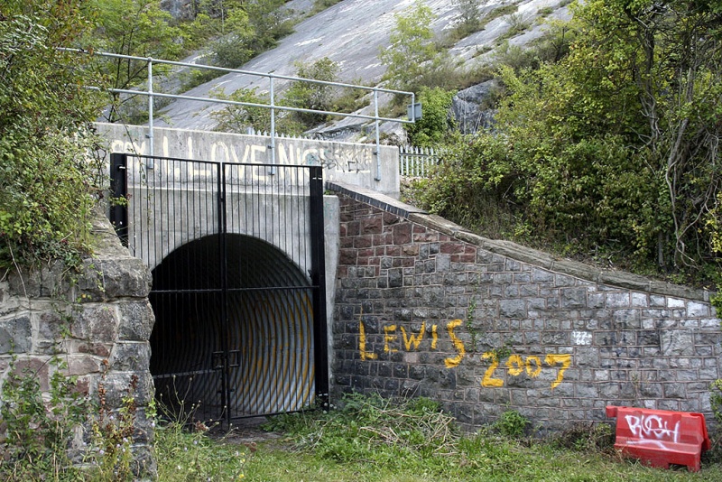 File:Netham Quarry No 1-1.jpg