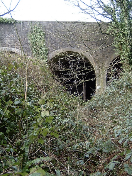File:Grovesend Tunnel3.jpg