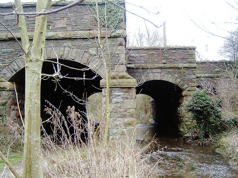 File:River Frome1.jpg