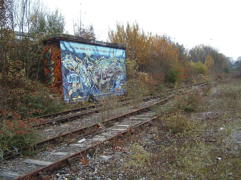 File:Ashton Meadows Sidings3.jpg