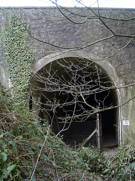 File:Grovesend Tunnel4.jpg