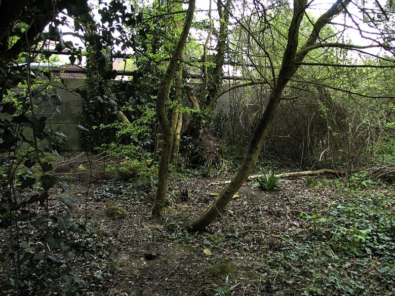 File:Whitchurchfootpath5.jpg