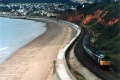 Dawlish. 7.8.87.