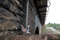 Pigeons sit under Stroud station. Watt's Viaduct stretches into the distance.