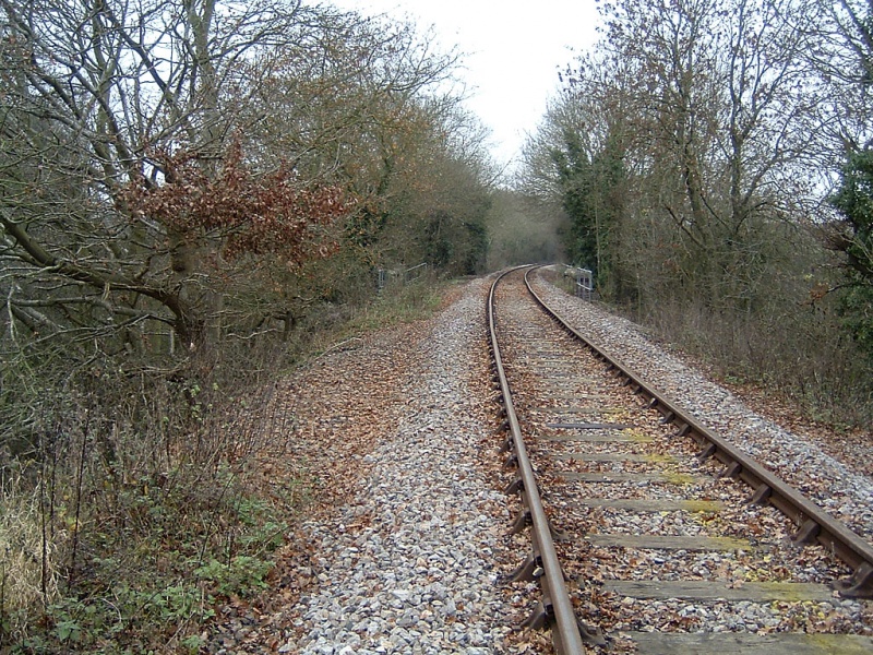 File:Robins Wood3.jpg