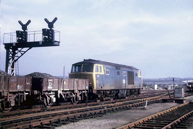 File:D7076-2.jpg