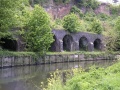 The railway embankment as viewed from Conham River Park.