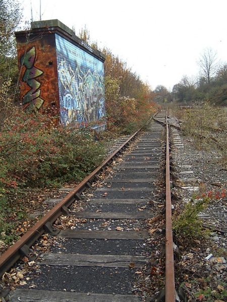 File:Ashton Meadows Sidings2.jpg