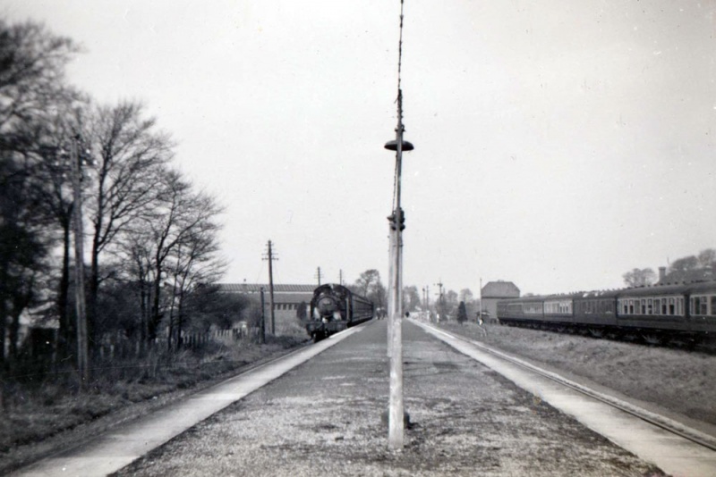 File:SevernBeach26.jpg