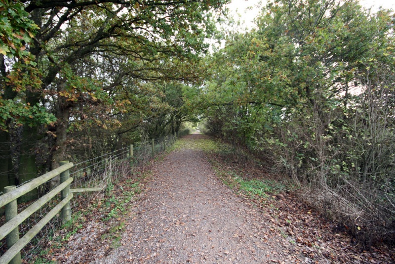 File:River Avon Chippenham9.jpg
