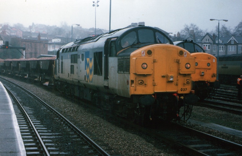 File:37037-1.jpg
