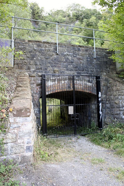 File:Netham Quarry No 2-1.jpg