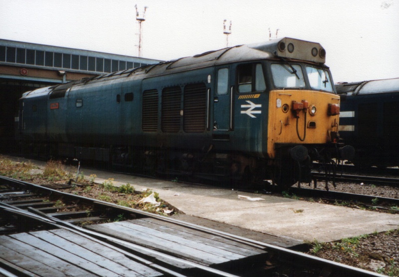 File:50019-2.jpg