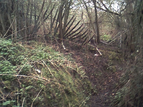 File:Blaise Sidings24.jpg