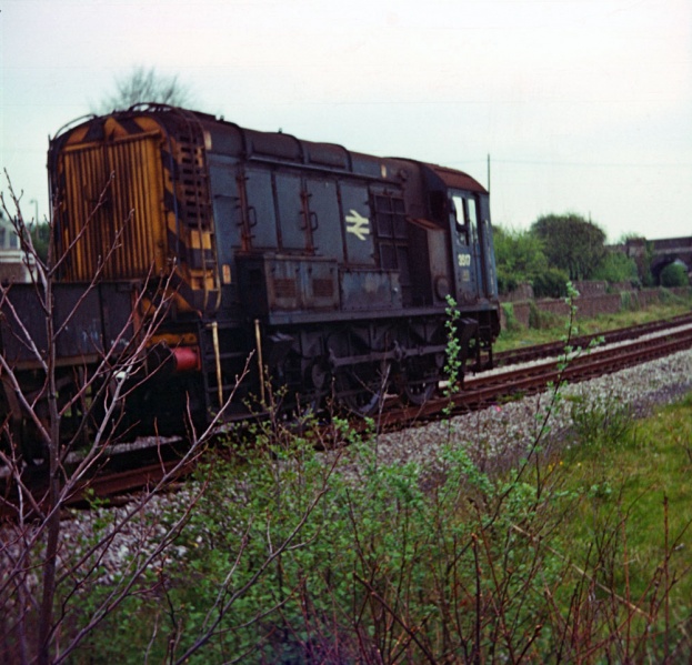 File:Steve Selwood3.jpg