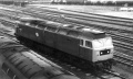 47306