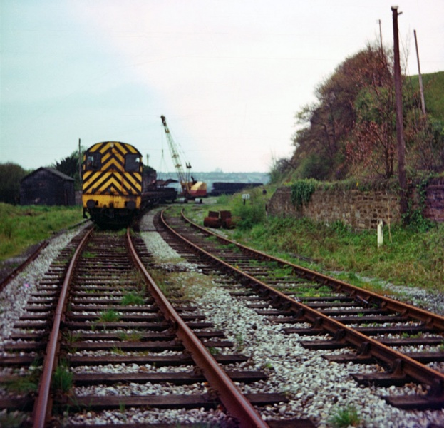 File:Steve Selwood4.jpg