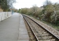 The view south along the station. The up platform is completely overgrown.