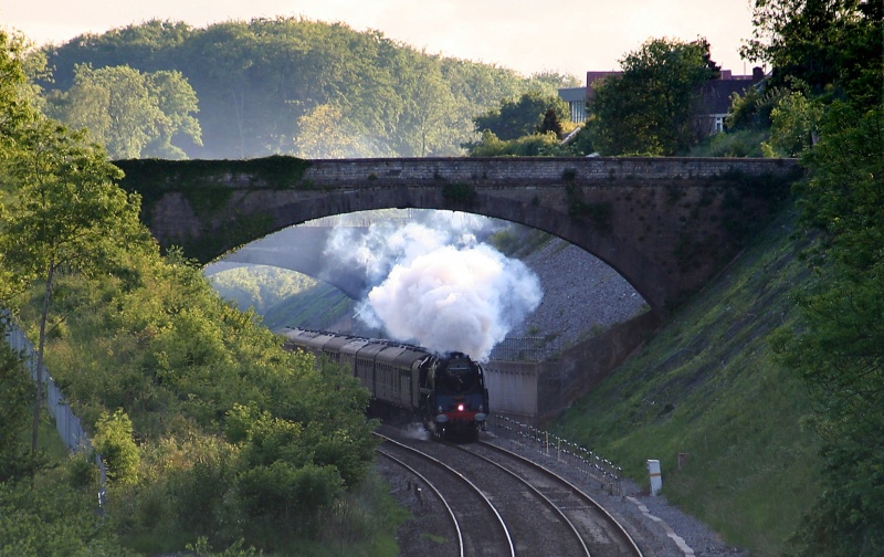 File:Fenshurst Gardens4.jpg