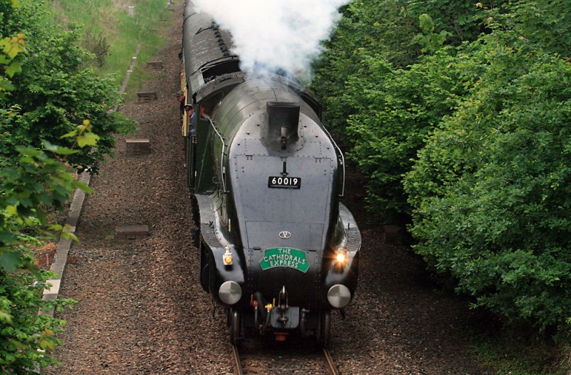 File:Buckhorn Weston Tunnel7.jpg