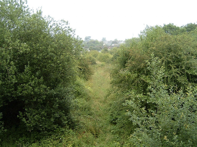 File:Wemberham Lane2.jpg