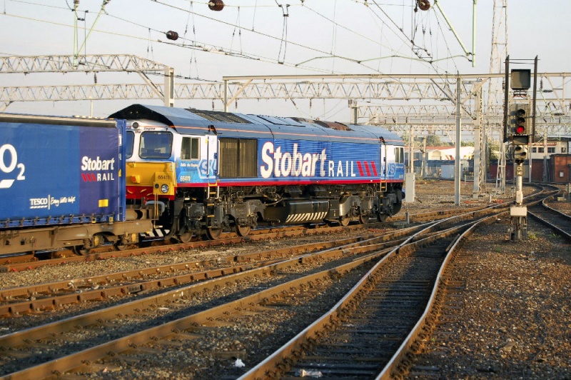 File:66411-1.jpg