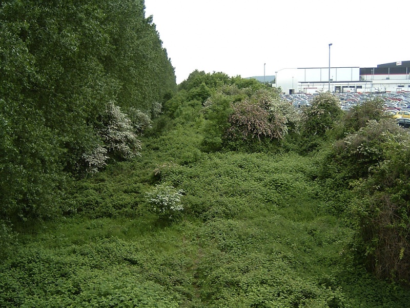 File:Marsh Lane2.jpg