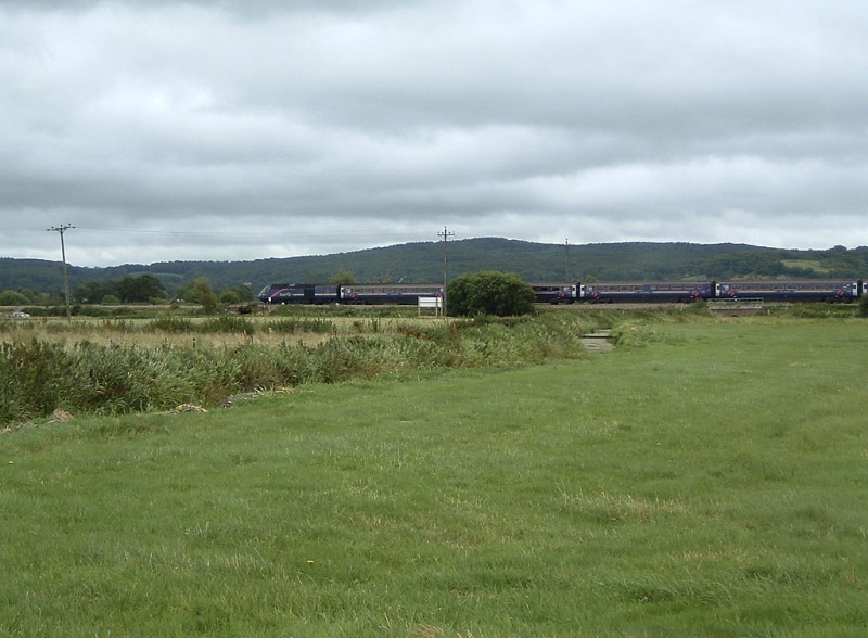 File:West Mead Rhyne1.jpg