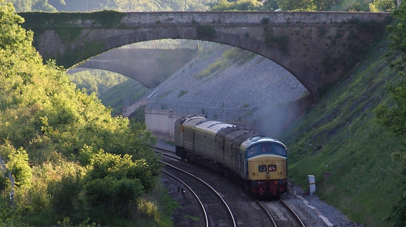 File:Fenshurst Gardens3.jpg