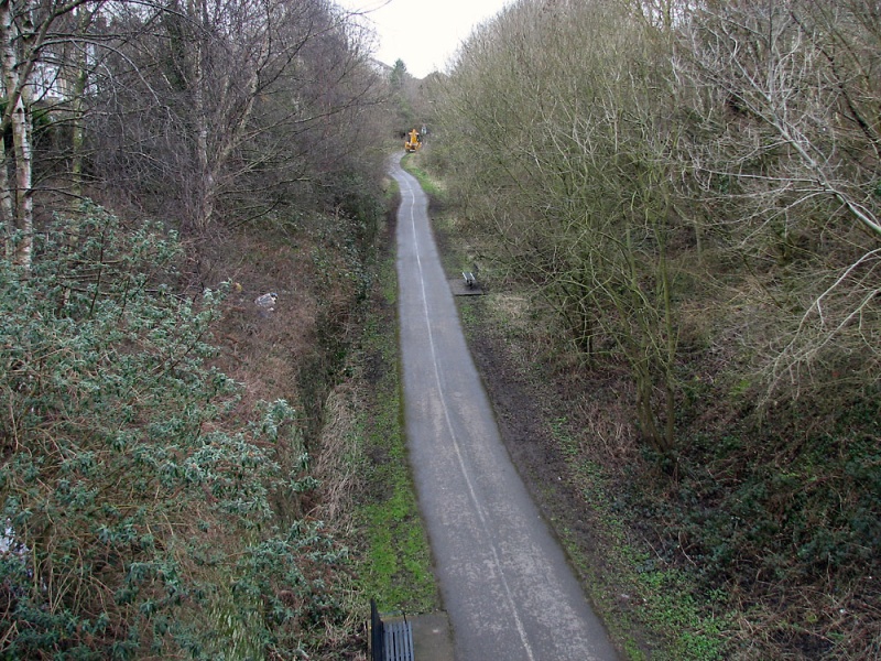 File:Thicket Road3.jpg