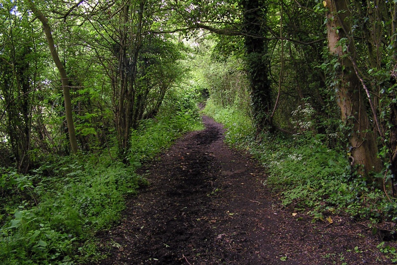 File:Yate Colliery Tramway4.jpg