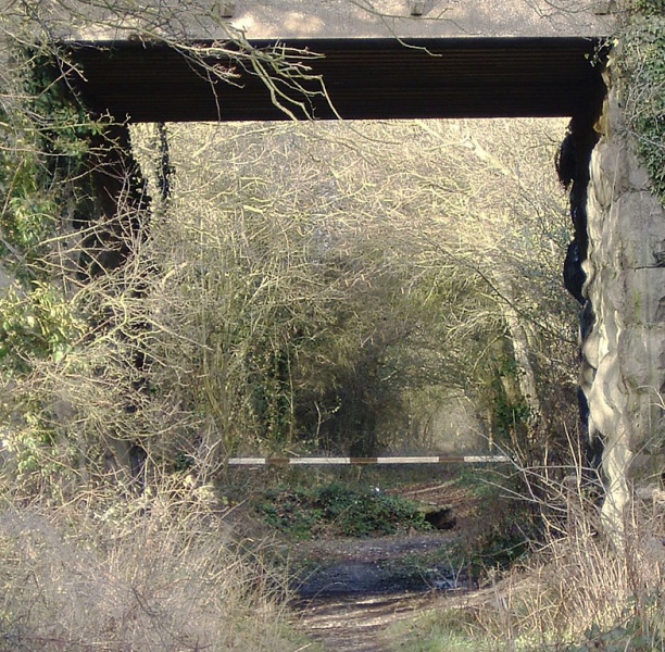 File:Frog Lane4.jpg