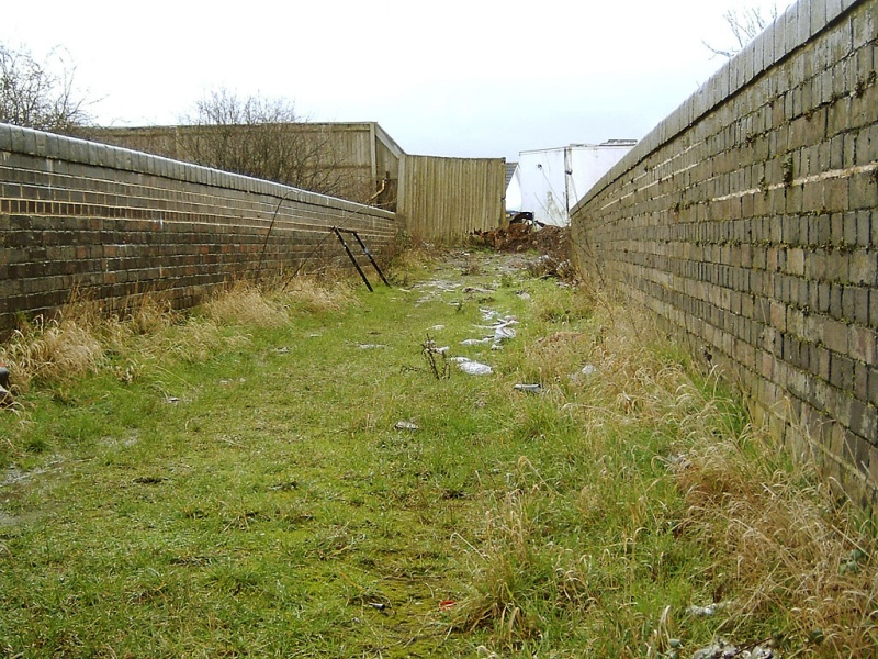 File:Curtis Lane7.jpg