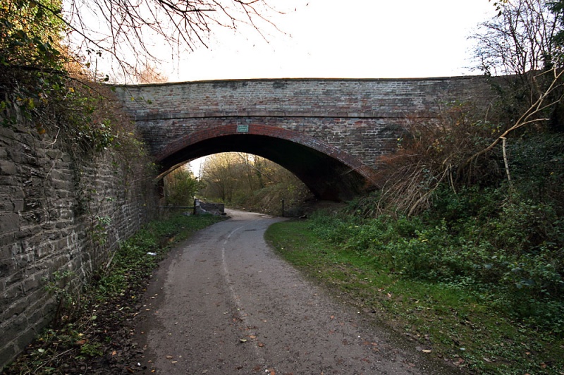 File:Thicket Road2.jpg