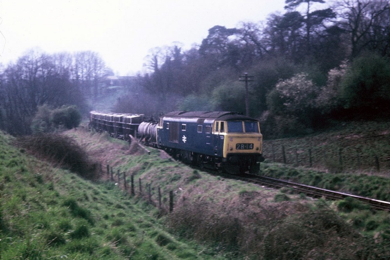 File:Ham Green Halt5.jpg