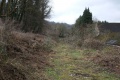 The view along the infilled canal towards Gough's Orchard Bridge and Lock.