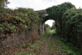 A bridge carries a country lane across the disused trackbed. This is the view in the direction of Calne.