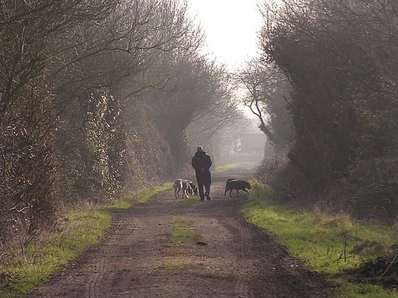 File:Colehouse Bridge2.jpg