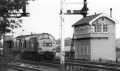 37202