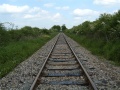 Looking towards Thornbury.